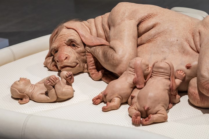 Artistas do Mundo Gump II Conversations Patricia Piccinini Tarrawarra Museum SkywhaleandTarrawarra0091 720 0 | Arte | Arte, contemporânea, criatura, escultura, monstro, patricia, picinini
