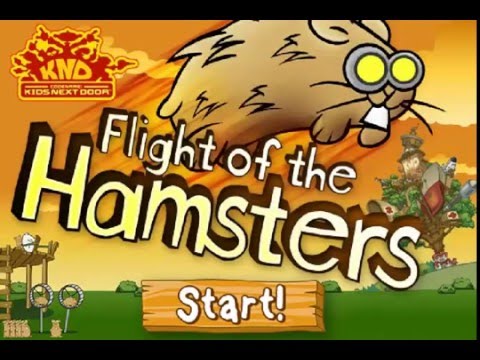 flight of the hamsters flight of the hamsters