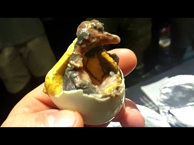 6 comidas nojentas Comida nojenta: O Balut