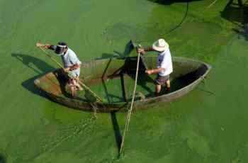A invasão da alga verde 00096bb163c309b23a570d | Bizarro | água, bizarro, china, chinês, curioso, incrível, natureza