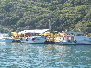 Meu passeio em Arraial do Cabo CIMG6664 | Curiosidades | Aventuras, mergulho, turismo, Viagem