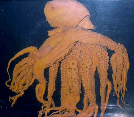 Quantos tentáculos tem um polvo? octopus w 85 tentacles | Animais | animais, bichos, bizarro, curioso, incrível, mutante