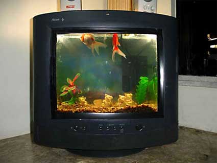 Aquários curiosos aquario425 | Animais | água, animais, aquário, Arte, bichos, bizarro, curioso, design, incrível, peixe