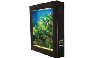 Aquários curiosos aquarioss | Animais | água, animais, aquário, Arte, bichos, bizarro, curioso, design, incrível, peixe