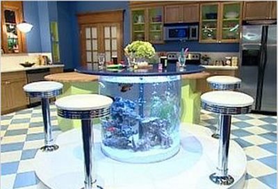 Aquários curiosos fish tank table | Animais | água, animais, aquário, Arte, bichos, bizarro, curioso, design, incrível, peixe