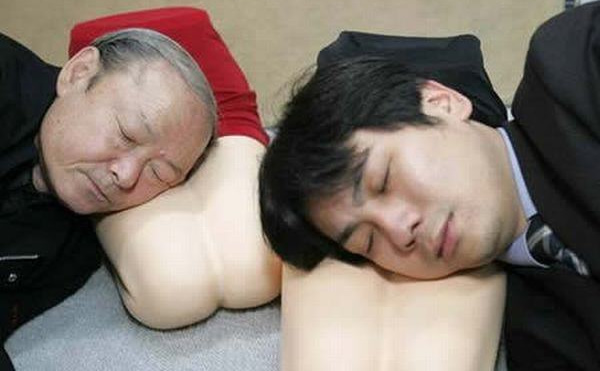 Travesseiro perna de mulher? Essa não! travesseiro forever alone japones | Animais | bizarro, cachorro, cadeira, curioso, design, humor, incrível, japão