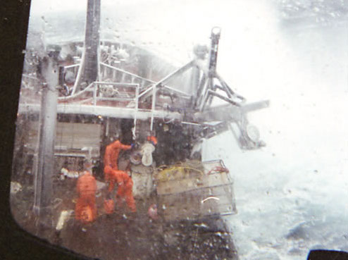 Caranguejo gigante à venda rain work rough seas l | Animais | animais, bichos, bizarro, comida, curioso, gigante, incrível, maluco, peixe, sinistro