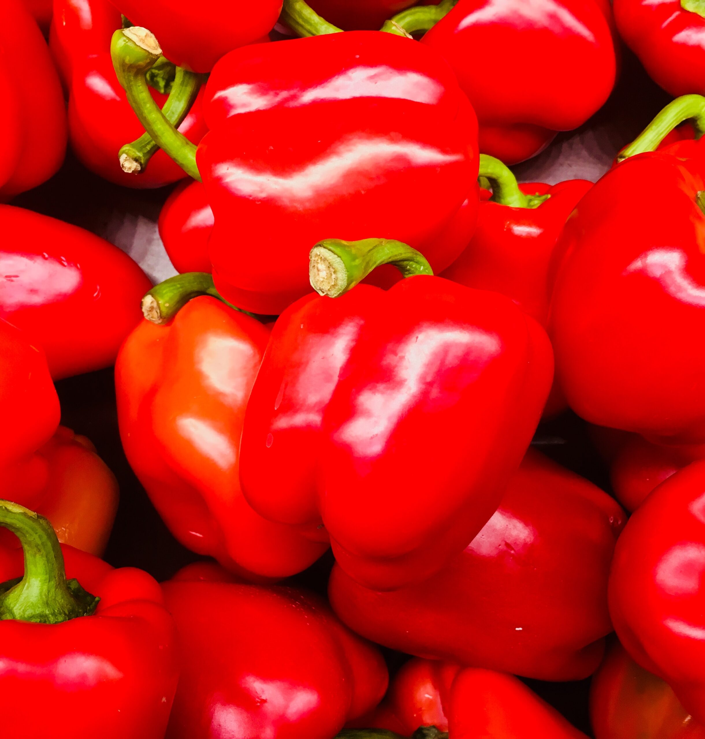 Indiana maluca come um prato da pimenta mais ardida do mundo pexels mubaz basheer 870808 scaled | Bizarro | curioso, incrível, índia, pimenta, recorde, sinistro