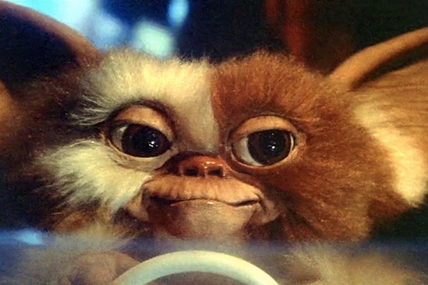 Os melhores filmes dos anos 80 steven spielberg tambem produziu gremlins de 1984 o filme sucesso dos anos 80 tirou o sono de muitas criancas com as temiveis criaturinhas que dao titulo ao longa | Arte | anões, anos 80, antigo, aquário, atores, aula, aventura, Aventuras, banheiro, bicho, bichos, bizarro, blog, blogs, brinquedo, brinquedos, brookie shields, cabelo, cabelos, carro, carros, celebridades, chinês, chocolate, cobra, cobras, criança, crianças, cursos, dinheiro, efeitos, energia, família, fantasma, fantasmas, filme, filmes, gigante, gigantes, horrenda, ilha, ilhas, interessante, irritante, jato, legal, livro, livros, lixo, lugares, maluco, malucos, marinho, medusa, monstro, monstros, moto, Mulher, mulheres, musica, musicas, Ninja, noiva, nome, nomes, nonsense, olhos, parques, pé, pedra, pedras, perdeu, personagens, pirata, planeta, planetas, playboy, produto, produtos, propaganda, putas, resgate, rever, roteiro, sapo, sapos, sensacional, sexo, terror, veio, violência, voz, zeus