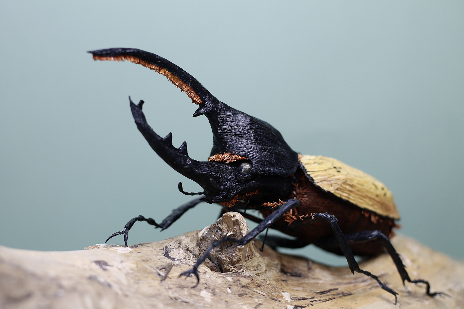O maior inseto do mundo CrepePaper Hercules Beetle by Tina Kraus Paper Art01 | Animais | adulto, amazônica, animais, animal, aparece, bbc, bicho, bichos, botar, chama coms, chamada, da, deus, ele, esses, estes, floresta, florestas, gigante, gigantes, inseto, maial, monstro, monstros, nativo, natureza, outro, pra, quase, quem, rinoceronte, s, suas, ter, titanus, uma, uma coisa, video, videos, viu