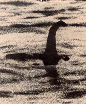 Bizarro: Chineses gravaram um monstro marinho? nessie | Animais | bichos, bizarro, criaturas, curioso, extraordinário, incrível, monstros, Monstros marinhos