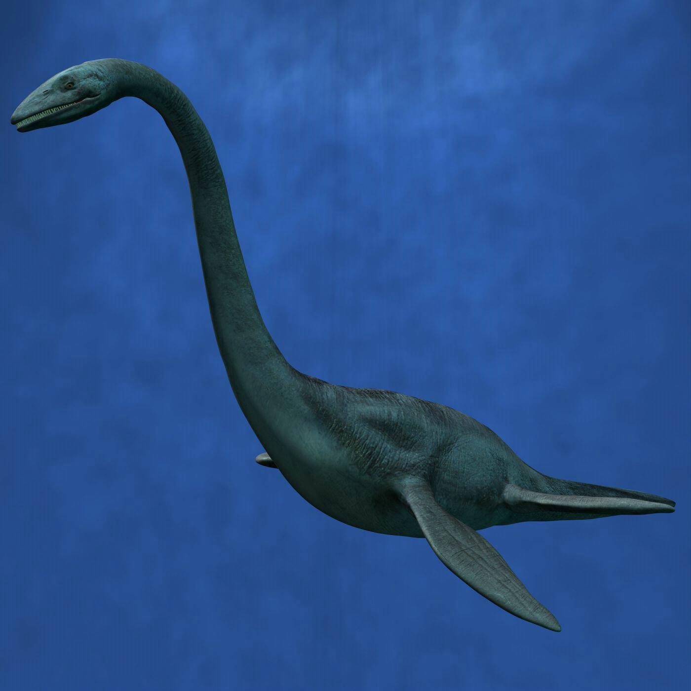 Bizarro: Chineses gravaram um monstro marinho? plesiosaur | Animais | bichos, bizarro, criaturas, curioso, extraordinário, incrível, monstros, Monstros marinhos