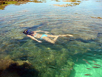 10 Peixes curiosos do mar de Porto de Galinhas Porto de Galinhas 01 | Animais | animais, bichos, dicas, mergulho, peixes, porto de galinhas