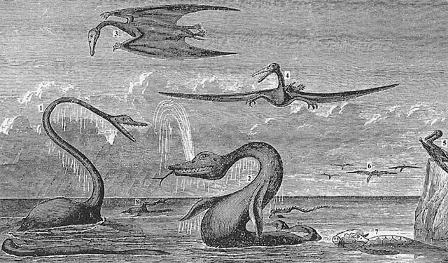 Criptozoologia cartográfica? 67ier6yjuertftg | Animais | animais, bizarro, criaturas, incrível, mistério, monstros