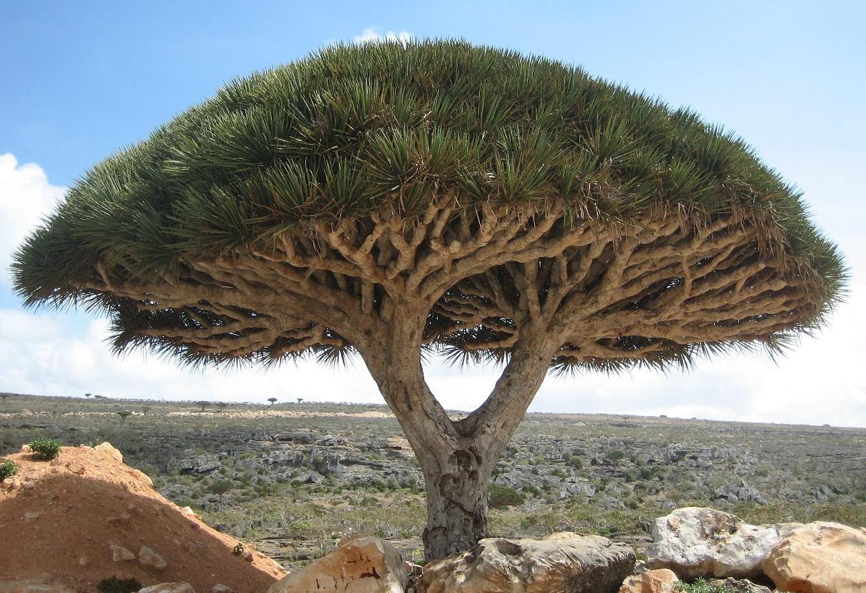 Lugares da Terra que parecem paisagens extraterrestres Lugares da Terra que parecem paisagens extraterrestres