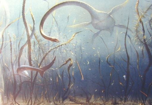 Criptozoologia cartográfica? plesioshark | Animais | animais, bizarro, criaturas, incrível, mistério, monstros