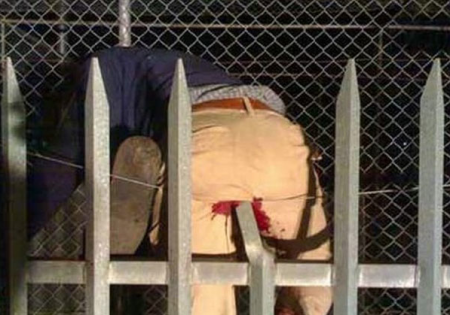 Top 10 espetinhos do Mundo Gump picture 3 | Animais | bizarro, curioso, empalamento, grotesco, mortes, notícia, sinistro