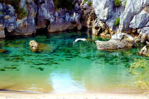 A curiosa praia de Gulpiyuri cristalina | Curiosidades | bizarro, curioso, dolina, erosão, espanha, fotografia, incrível, local, mergulho, praia