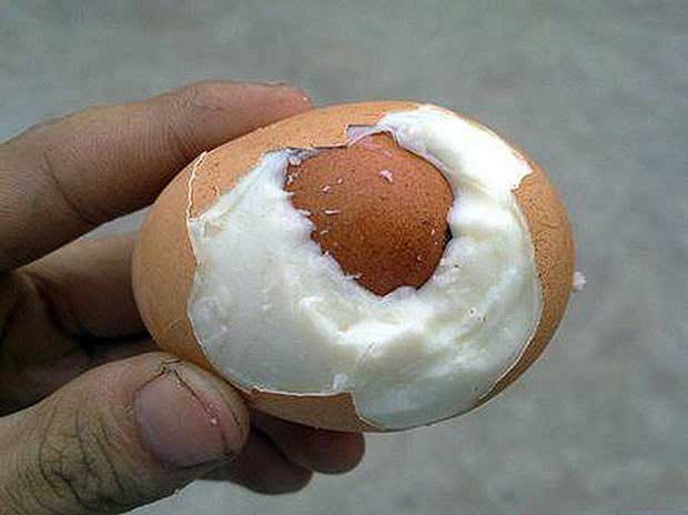 O bizarro ovo esférico e outros ovos curiosos egg within an egg | Animais | bizarro, curioso, estranho, incrível, maluco, nojento, ovo