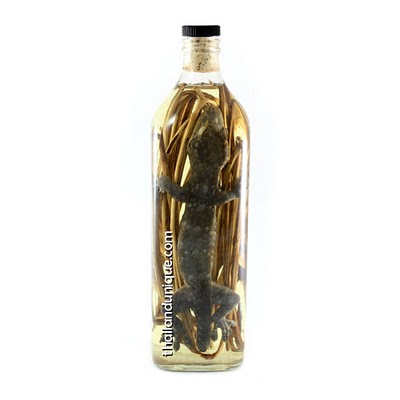 Top 15 bebidas estranhas com bichos mortos dentro gecko whiskey | Animais | animais, bichos, china, chinês, curioso, estranho, japão, nojento