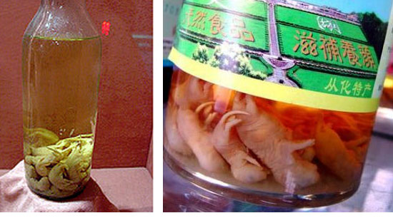 Top 15 bebidas estranhas com bichos mortos dentro gross drinks 6 | Animais | animais, bichos, china, chinês, curioso, estranho, japão, nojento