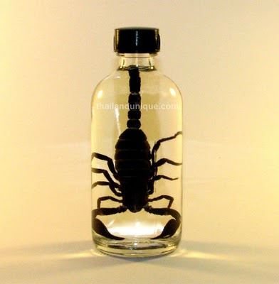Top 15 bebidas estranhas com bichos mortos dentro scorpionwhiskeysmall | Animais | animais, bichos, china, chinês, curioso, estranho, japão, nojento