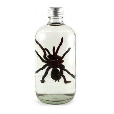Top 15 bebidas estranhas com bichos mortos dentro spider whiskey | Animais | animais, bichos, china, chinês, curioso, estranho, japão, nojento
