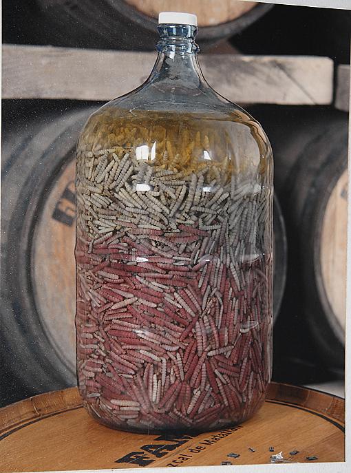 Top 15 bebidas estranhas com bichos mortos dentro worms | Animais | animais, bichos, china, chinês, curioso, estranho, japão, nojento