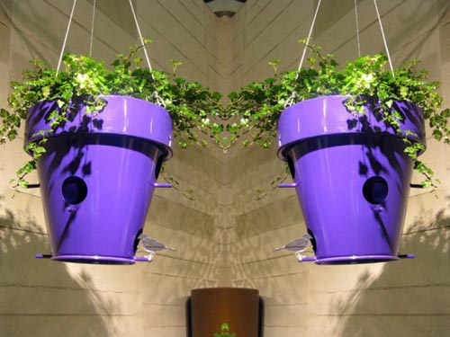 Casa própria para passarinho Violet O Nest O Flowerpot with Bird House Furniture | Curiosidades | bicho, casa, casinha, curioso, incrível, passarinho