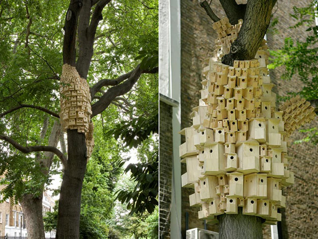 Casa própria para passarinho birdhouse4 | Curiosidades | bicho, casa, casinha, curioso, incrível, passarinho
