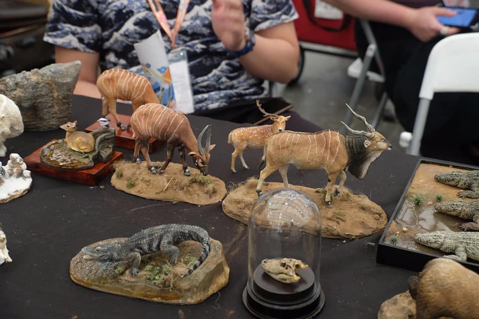 Incríveis imagens da Wonder Fest em Xangai 62463024 2462219437342289 2274474728452259840 n | Arte | artem, changai, evento, fotografia, monstros, wonderfest