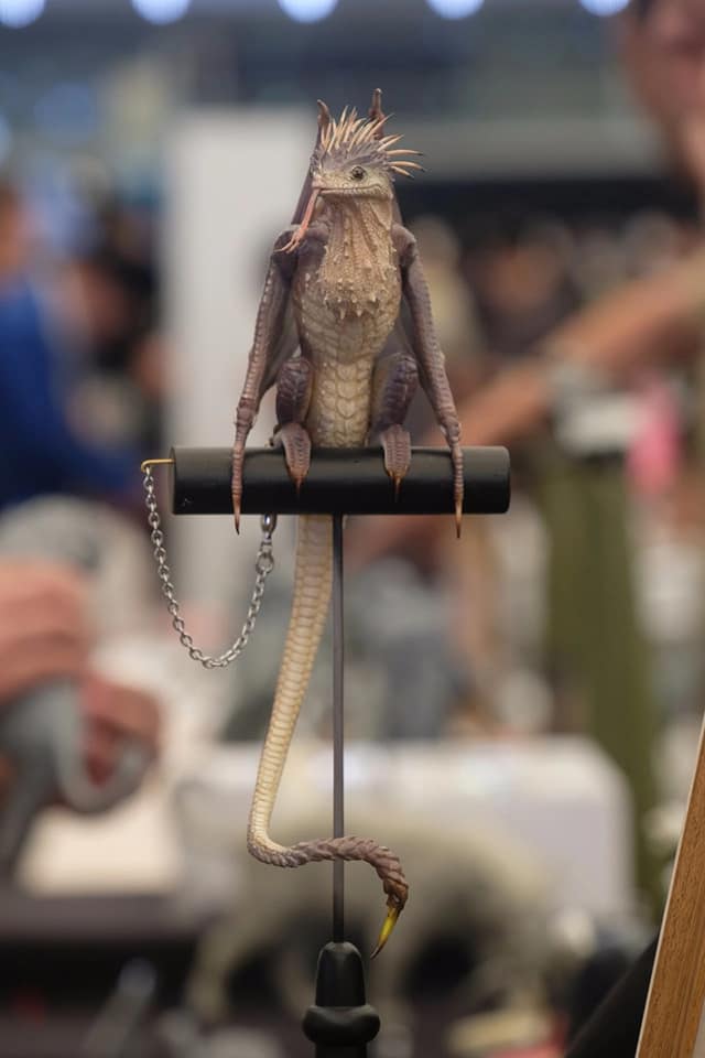 Incríveis imagens da Wonder Fest em Xangai 62506954 2462215837342649 5883547090289688576 n | Arte | artem, changai, evento, fotografia, monstros, wonderfest