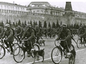 Os cães anti-tanque: A anatomia de um fracasso 109 F ww2 sov16 | Curiosidades | animais, cachorros, cães, curioso