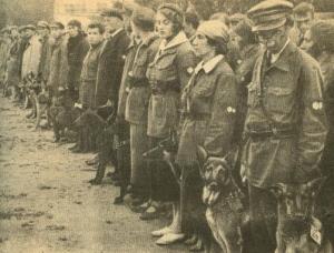 Os cães anti-tanque: A anatomia de um fracasso 109 Sovietdogtrainingschool | Curiosidades | animais, cachorros, cães, curioso