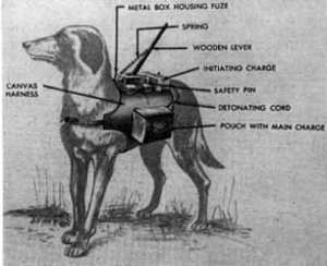 Os cães anti-tanque: A anatomia de um fracasso 21 Exploding dog diagram | Curiosidades | animais, cachorros, cães, curioso
