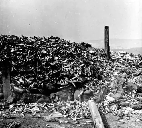 A zona vermelha da França: Um lugar onde não se pode entrar há mais de cem anos! 5 Início Quora | Lugares | curiosidades, frança, guerra, IWW, lugares, primeira guerra mundial