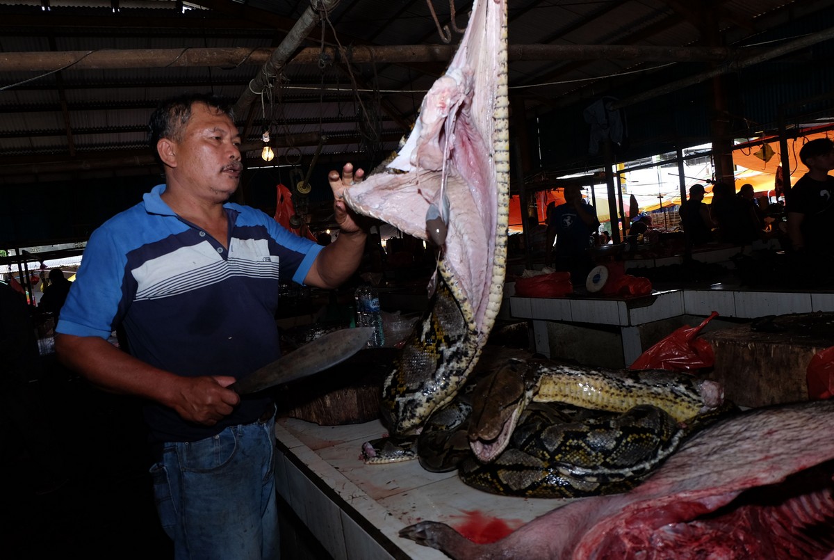 Fotos chocantes do mercado úmido da Indonésia aec6edb1f008 | Bizarro | absurdo, china, chocante, doença, grotesco, Indonésia, lugaresm, sinistro