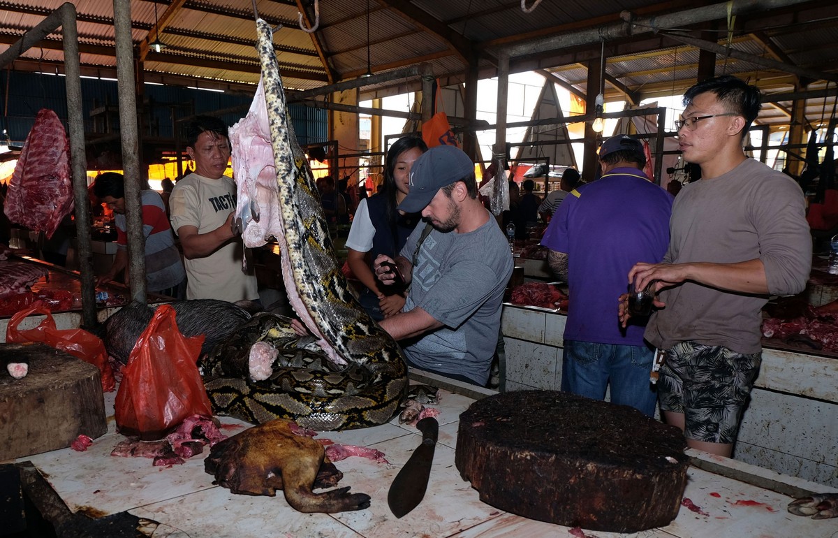 Fotos chocantes do mercado úmido da Indonésia f03735e4cd3f | Bizarro | absurdo, china, chocante, doença, grotesco, Indonésia, lugaresm, sinistro
