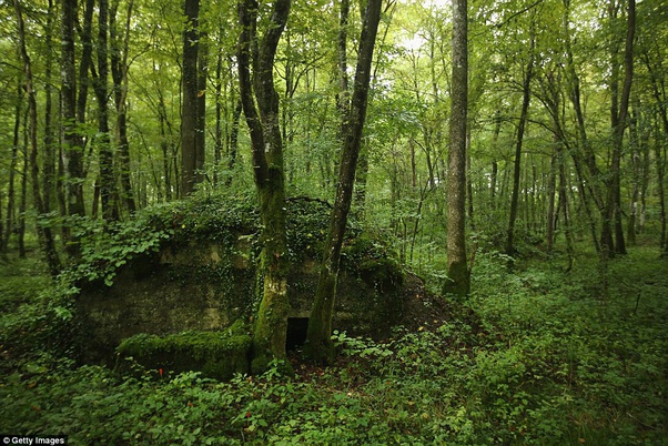 A zona vermelha da França: Um lugar onde não se pode entrar há mais de cem anos! main qimg 02dd626cc69ac6785fae0c9076da0d01 | Lugares | curiosidades, frança, guerra, IWW, lugares, primeira guerra mundial
