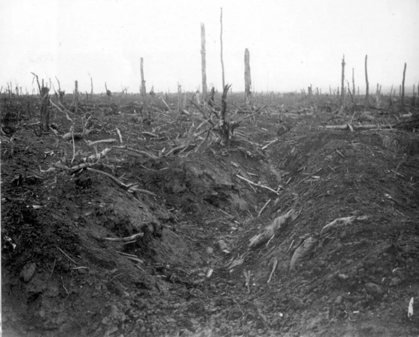 A zona vermelha da França: Um lugar onde não se pode entrar há mais de cem anos! main qimg dd5a66f1c835882bba4b5bd1da467791 | Lugares | curiosidades, frança, guerra, IWW, lugares, primeira guerra mundial