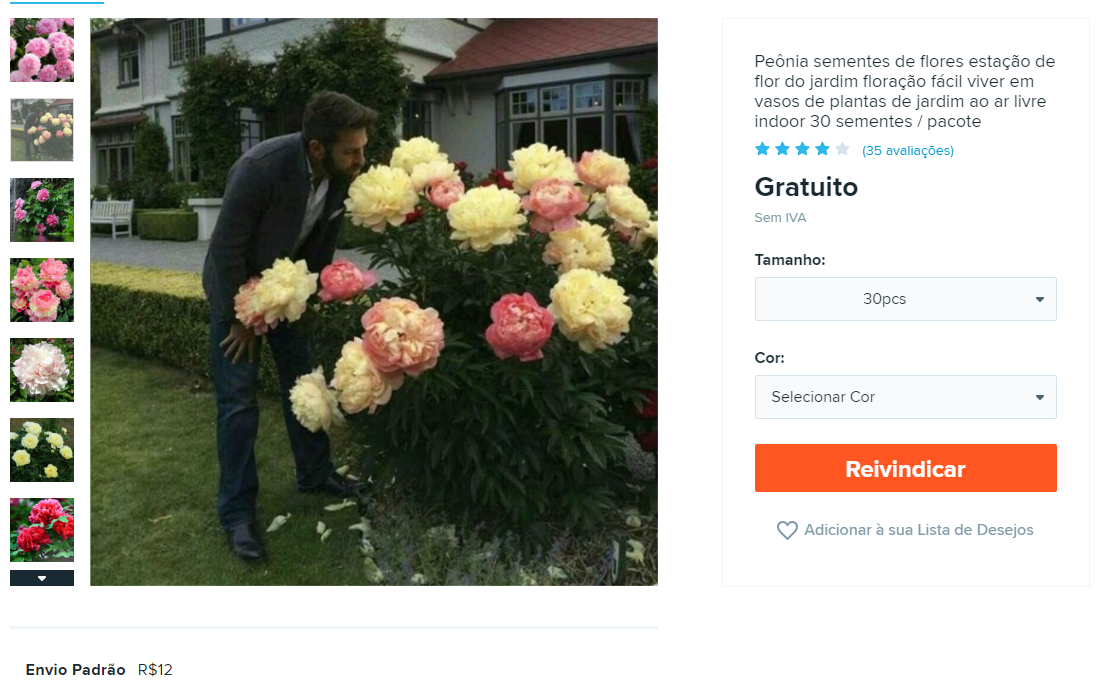Tutorial: Como conseguir sementes gratuitas de flores Wish Comprar ficou mais divertido 1 | Dicas | china, compra, dicas, economizar, flores, plantar, wish
