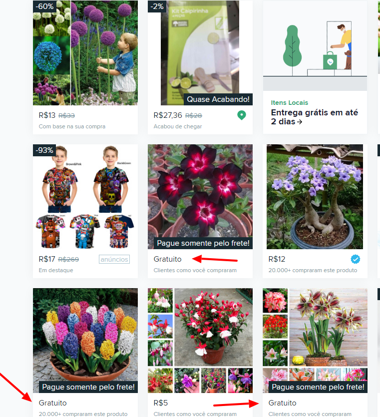 Tutorial: Como conseguir sementes gratuitas de flores Wish Comprar ficou mais divertido | Dicas | china, compra, dicas, economizar, flores, plantar, wish