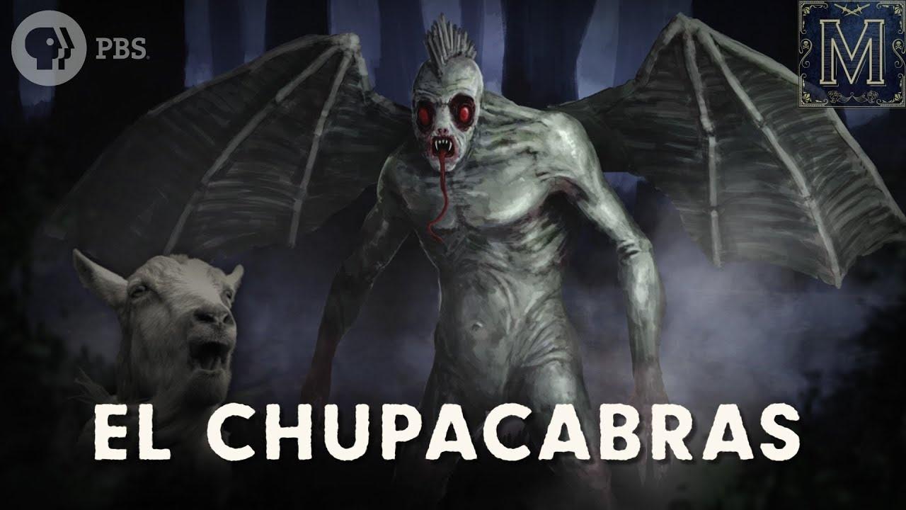 Mortes misteriosas reacendem o medo do Chupacabras no Chile JGSHusp asset mezzanine 16x9 | Bizarro | aliens, chupacabras, criptozoologia, misterios, monstro, ufologia, ufos