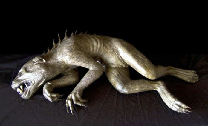 Mortes misteriosas reacendem o medo do Chupacabras no Chile chupa cabras | Bizarro | aliens, chupacabras, criptozoologia, misterios, monstro, ufologia, ufos
