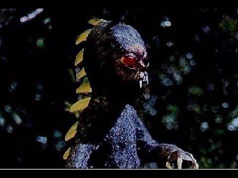 Mortes misteriosas reacendem o medo do Chupacabras no Chile hqdefault 2 | Bizarro | aliens, chupacabras, criptozoologia, misterios, monstro, ufologia, ufos