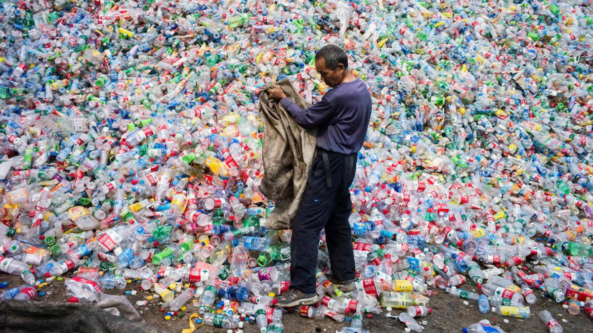 Tijolos ecológicos de plástico Tijolos ecologicos