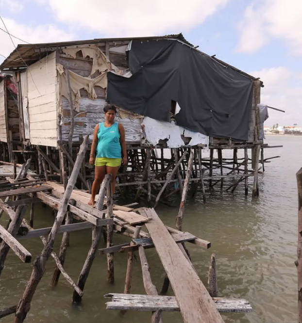 Tijolos ecológicos de plástico casas de palafita Pesquisa Google | Textos | ambiental, oceano, plastico, reciclagem, tijolo