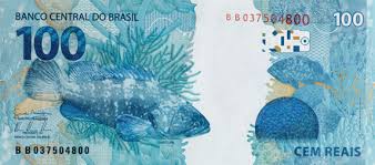 Não é história de pescador: Homem da Flórida captura uma garoupa gigantesca! Veja as fotos. download min | Animais | animais, bichos, gigante, incrível, mar, peixe, pesca