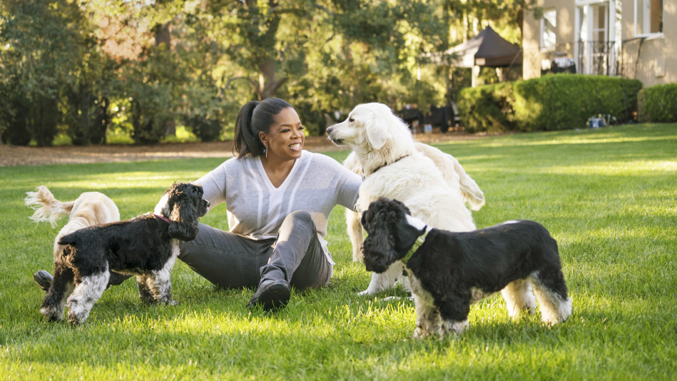 Milionários: Conheça o cachorro mais rico do mundo 201707 omag cover oprah playing with dogs 949x534 1 | Animais | animais, bichos, curioso, dinheiro, herança, rico, riqueza