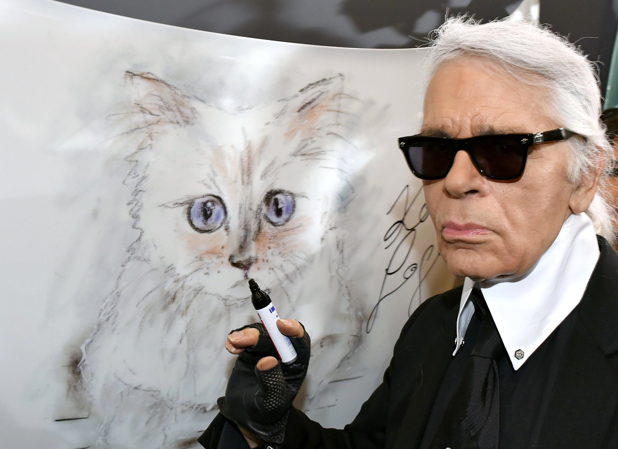 Milionários: Conheça o cachorro mais rico do mundo 20Choupette karl lagerfeld superJumbo v2 | Animais | animais, bichos, curioso, dinheiro, herança, rico, riqueza